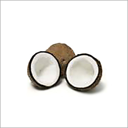 Semi Husked Coconuts