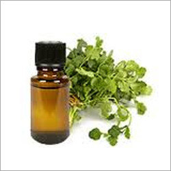 Coriander Oil