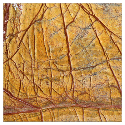 Rain Forest Gold Antiqe Marble