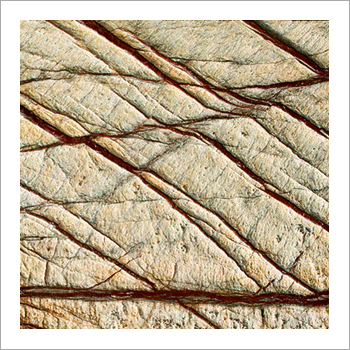 Rain Forest Brown Antique Marble