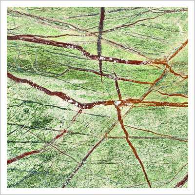 Rain Forest Green Antique Marble