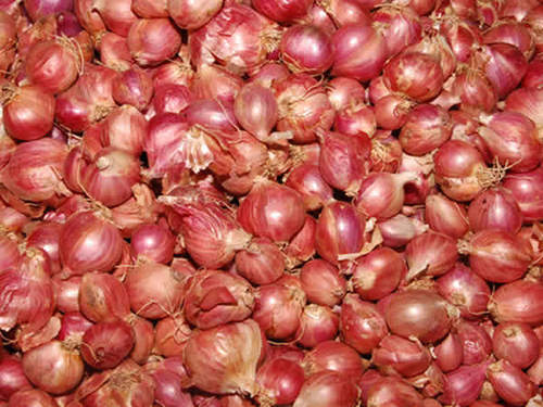 Small Onion