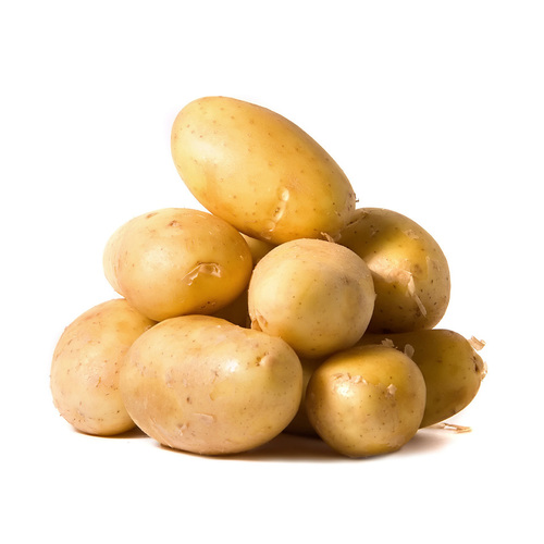 Potato - Yellowish, Oval Shape, 50-100g | Fresh, Tasty, Versatile, Nutritious, Easy to Cook, Bulk Packaging