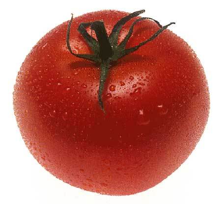 Fresh Tomato - 7cm Diameter, Red, Round | Fresh, Juicy, Ripe, Flavorful, Nutritious, Versatile