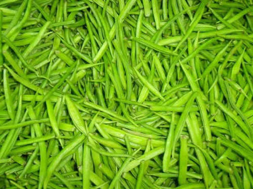 Beans - Green, Varied Length, Narrow Width | Fresh, Nutritious, Sustainable, Soft Texture, High Moisture, Bulk Packaging