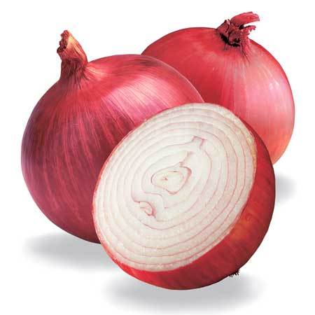 Onion
