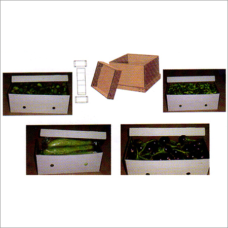 Telescopic Corrugated Boxes