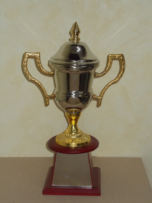 Metal Trophy