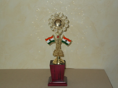 Golden Plated Trophy Cups