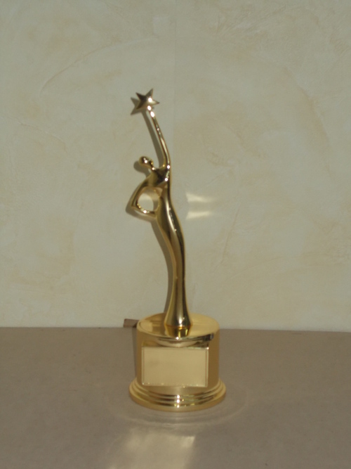 Metal Polished Trophy