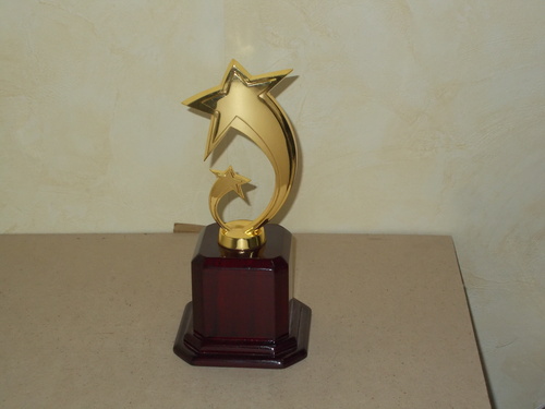 Brass Metal Trophies