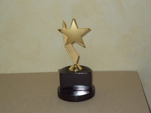 Metal Finished Trophy