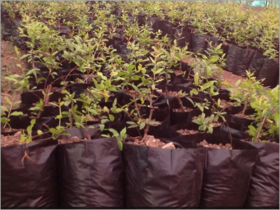 Waste Land Development Service