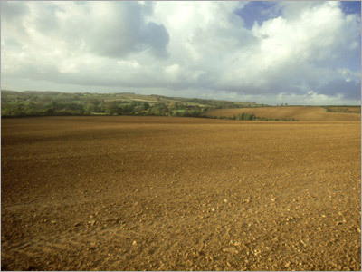 Agricultural Turnkey Projects
