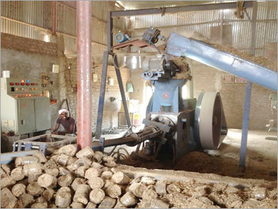 Biomass Pellet