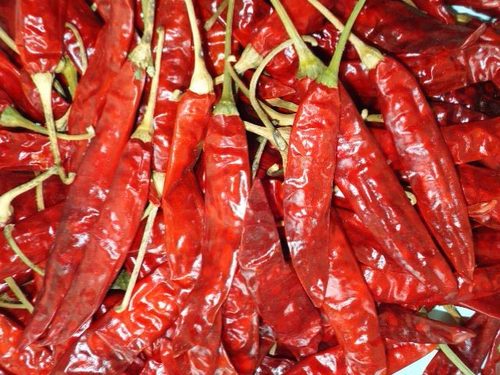 Byadgi Red Chilli
