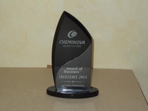 Acrylic Customized Trophy