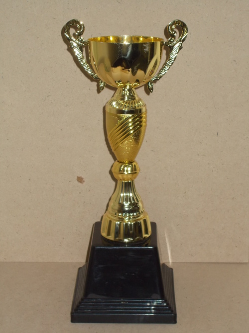 Awards Trophy Cup