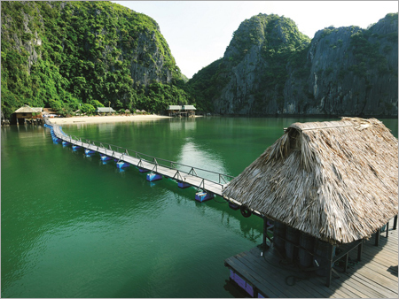 Cat Ba Beach Bungalow For Tour Services