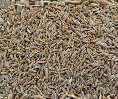 Cumin Seeds India