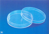 Petri Dish (Culture)