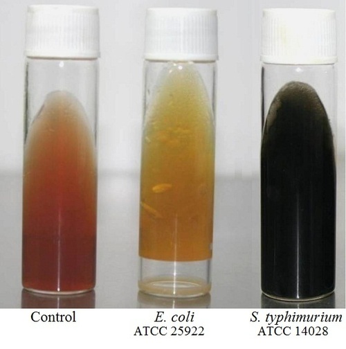 TRIPLE SUGAR IRON AGAR