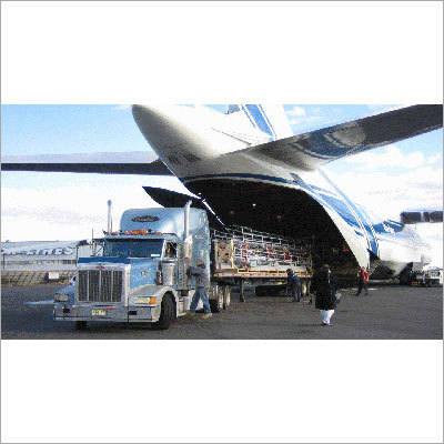 Import Export Consultancy Services