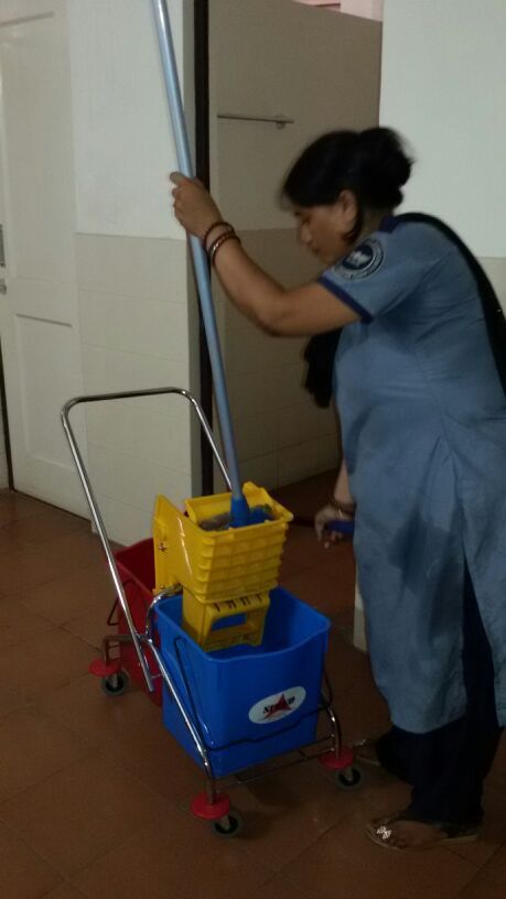 Toilet Cleaning