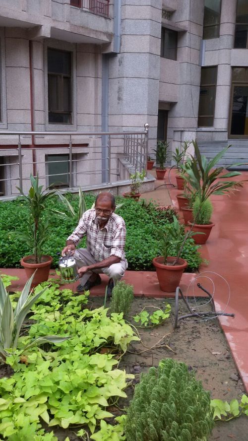 Environment Friendly Cleaning