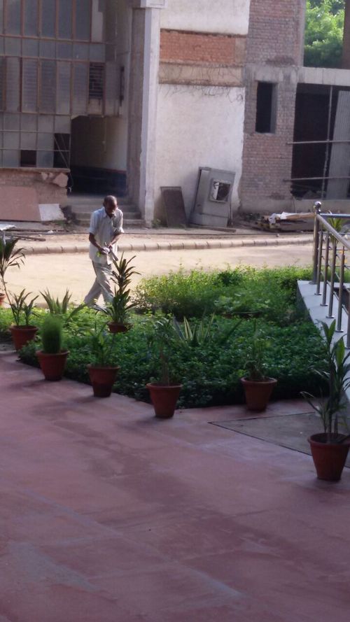 Environment Friendly Cleaning