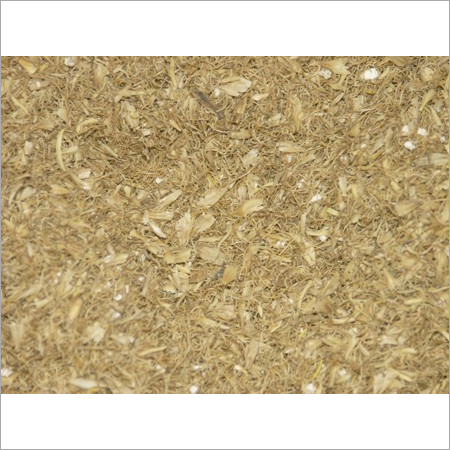 Malt Sprout