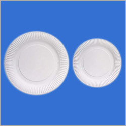 Disposable Wrinkled Paper Plates