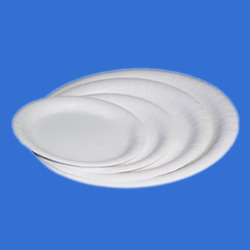Disposable Paper Plates