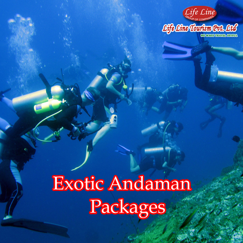 exotic andaman