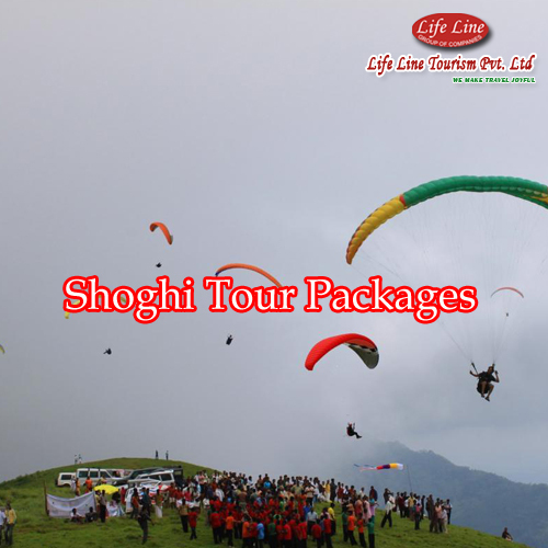 shoghi tour packages