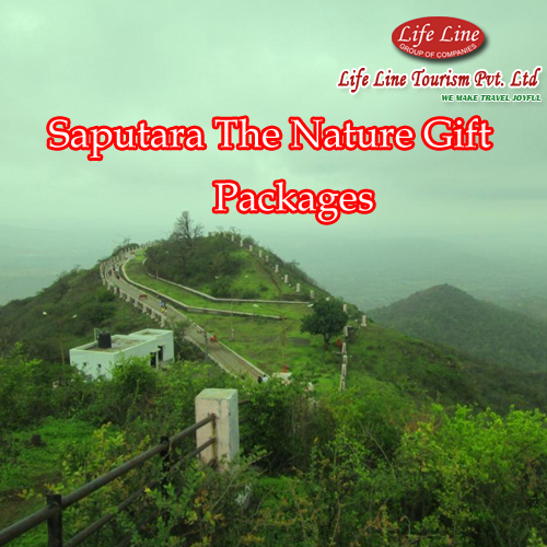 Saputara Tour Packages
