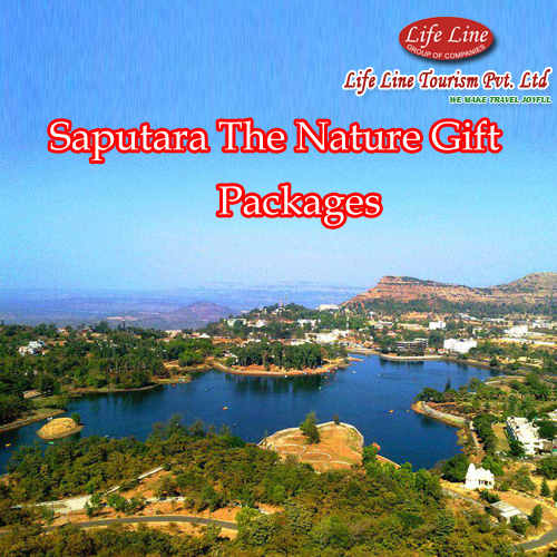 Domestic Travel Packages