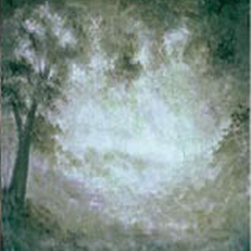 Hand Painted Muslin Backdrop