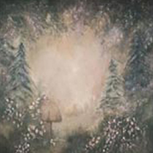 Hand Painted Backdrops