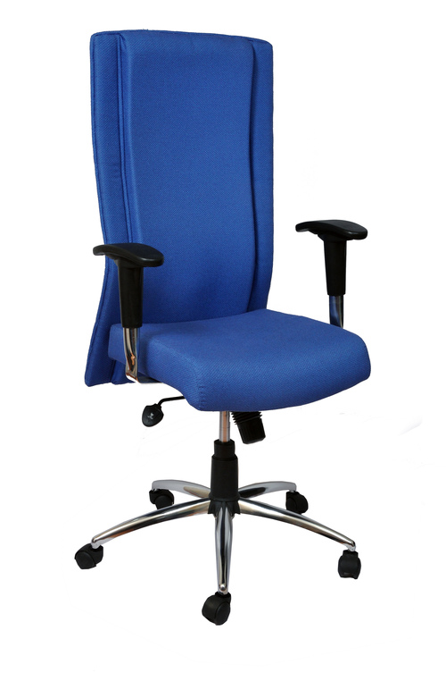 Executive Chair - Fabric Metal, Blue, Chrome Base | Ergonomic Design, Lumbar Support, Adjustable Height, Comfortable Seating