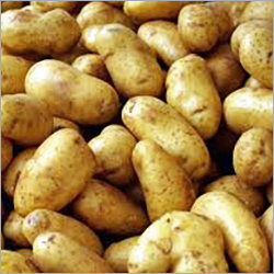 Organic Potato