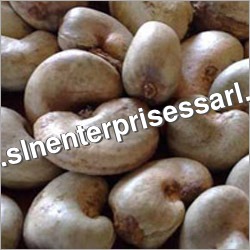 Scorched Pieces Cashew