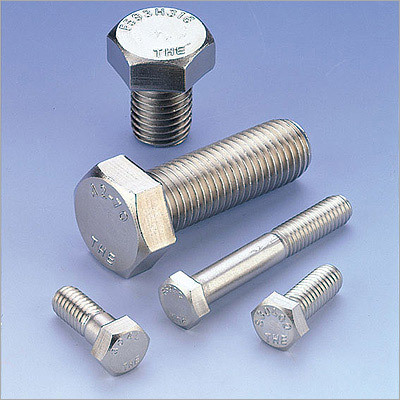 SS Hex Bolt