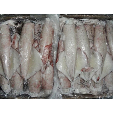 Whole Squid