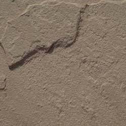 Natural Sandstones Tile