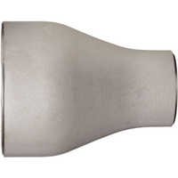 Stainless Steel Reducer
