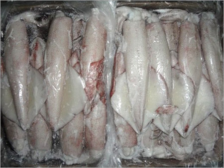 Frozen Food Whole Squid Fish