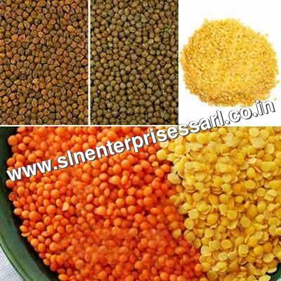 Organic Pulses