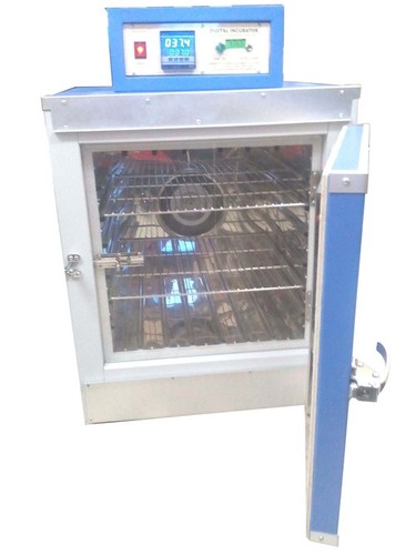 Incubator Universal (Mammert Type)