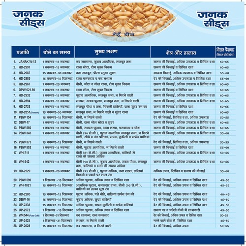 Wheat seeds Catalog